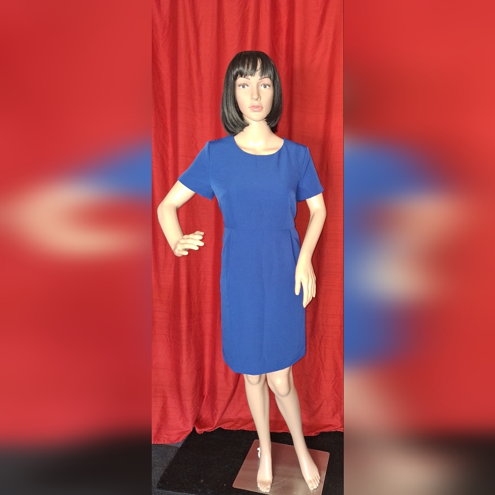 APPLESEEDS PETITE/ SIZE 6P / COLOR BLUE / MIDI DRESS